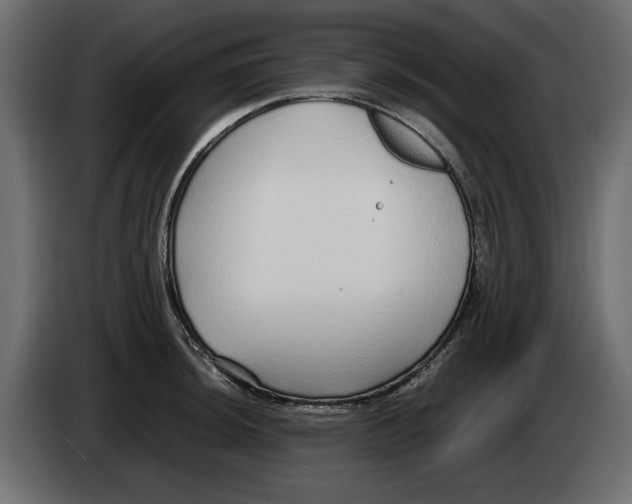 X0000083001044200703020900