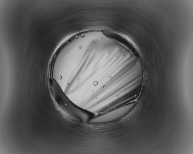 X0000083001046200703020900