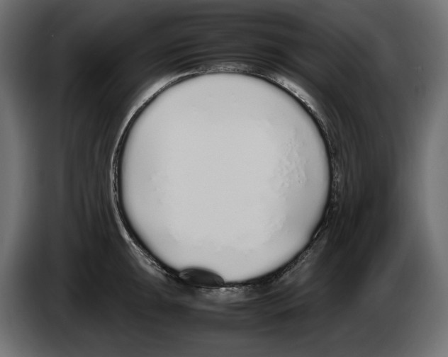 X0000083001047200703020900