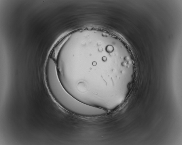 X0000083001048200703020900