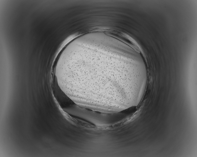 X0000083001050200703020900