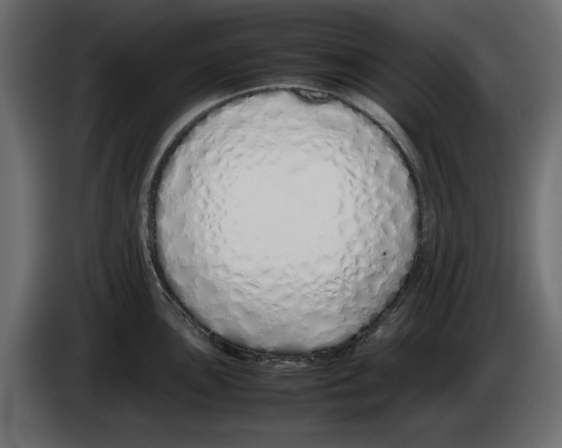 X0000083001051200703020900