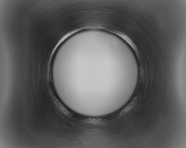 X0000083001052200703020900