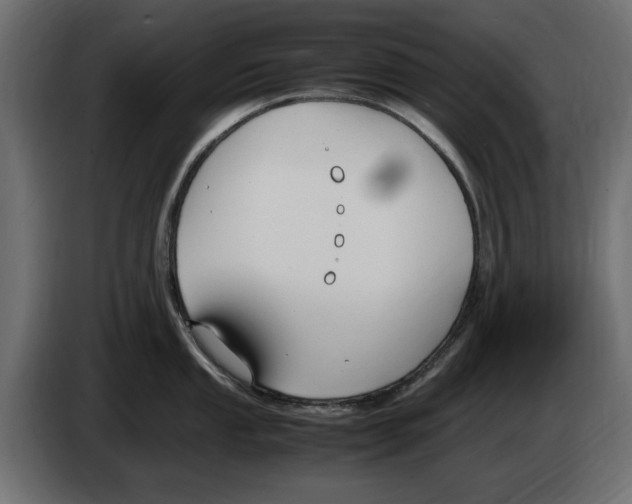 X0000083001053200703020900