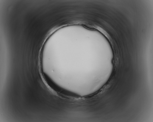 X0000083001055200703020901