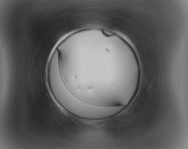 X0000083001056200703020901