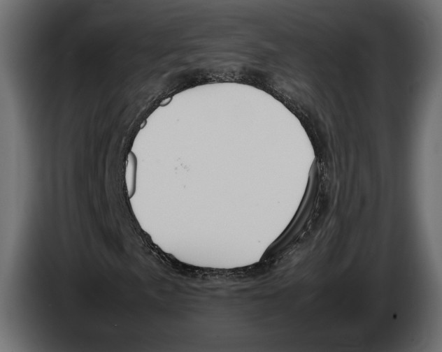 X0000083001057200703020859