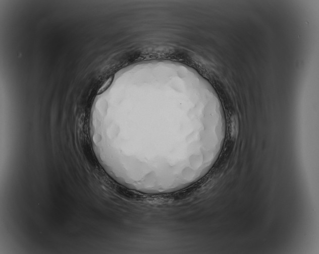 X0000083001059200703020859