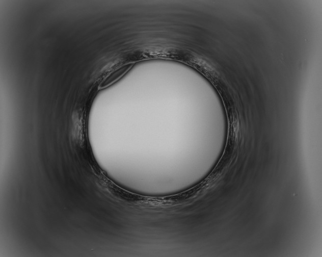 X0000083001060200703020859