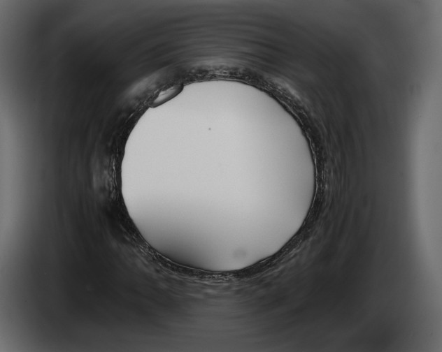 X0000083001062200703020859