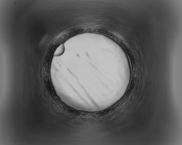 X0000083001063200703020859