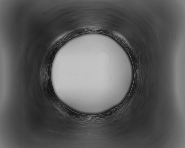 X0000083001064200703020859