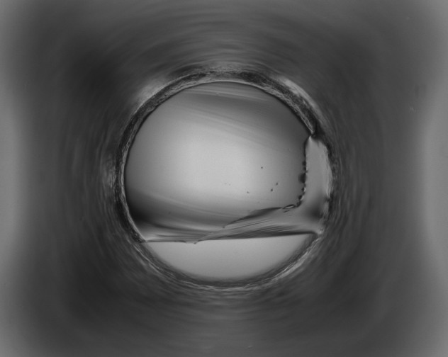 X0000083001065200703020859