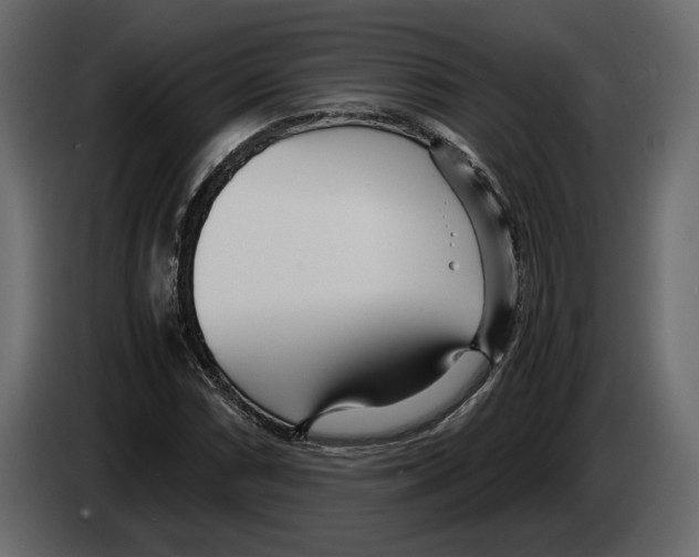 X0000083001066200703020859