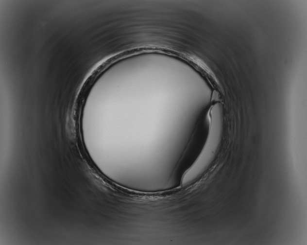 X0000083001068200703020859