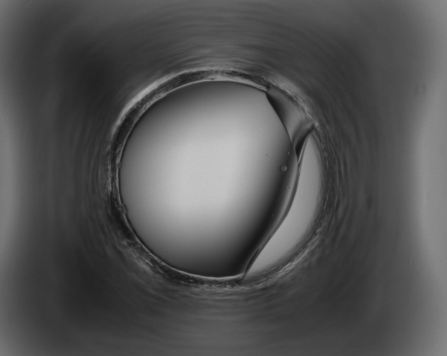 X0000083001069200703020859