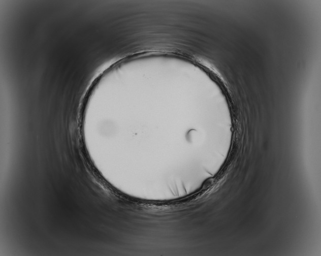 X0000083001071200703020859