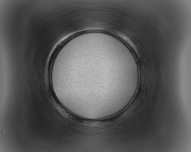 X0000083001072200703020859