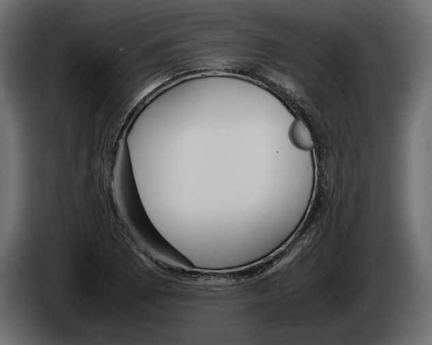 X0000083001073200703020859