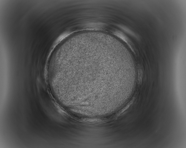 X0000083001074200703020859