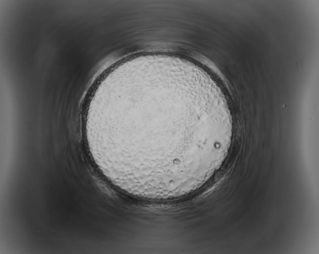 X0000083001075200703020859