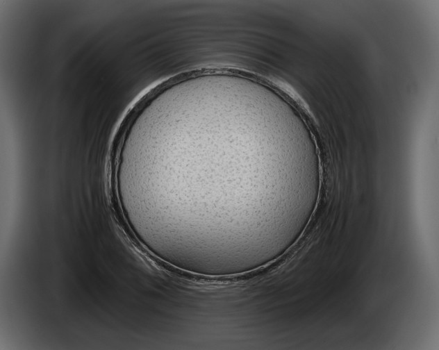 X0000083001076200703020859