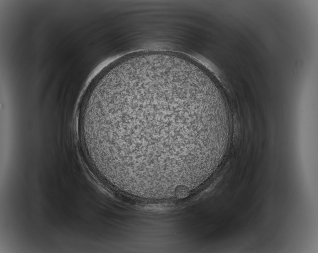 X0000083001078200703020859