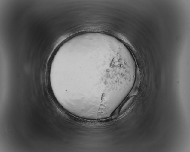 X0000083001079200703020859