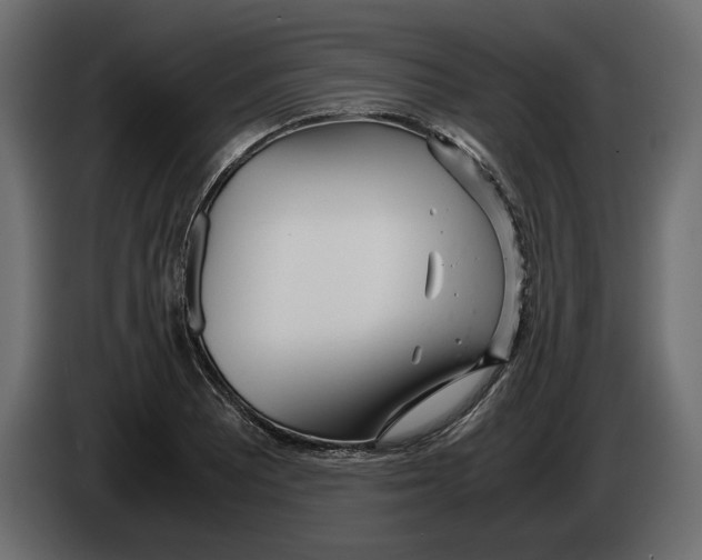 X0000083001081200703020859