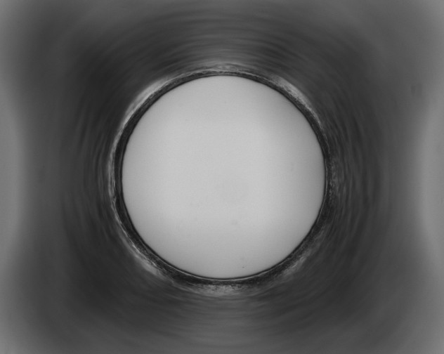 X0000083001082200703020859