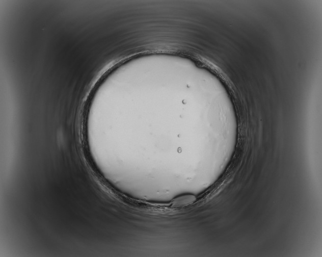 X0000083001083200703020859