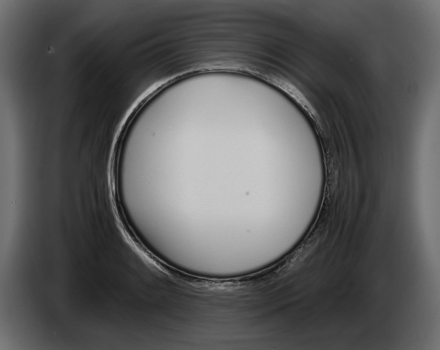 X0000083001084200703020859