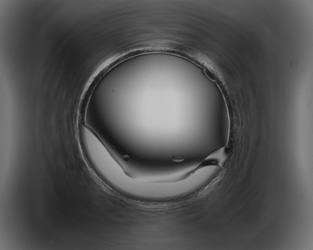 X0000083001085200703020859