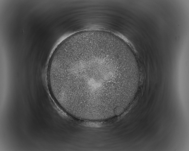 X0000083001086200703020859