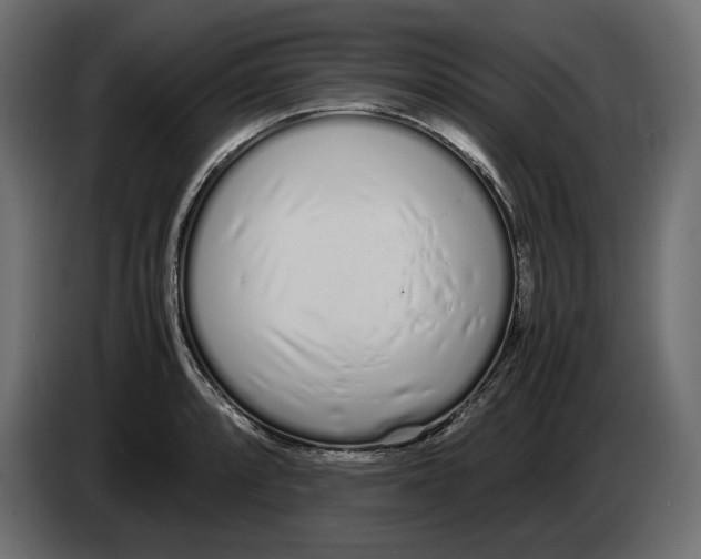 X0000083001088200703020859