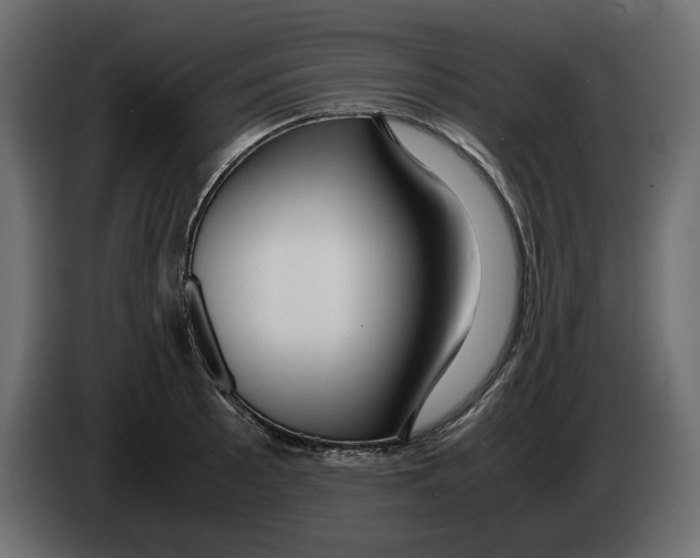 X0000083001089200703020859