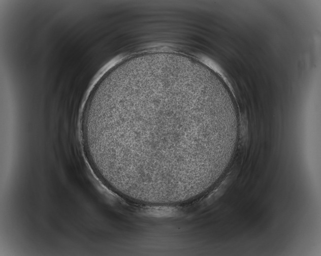 X0000083001090200703020859