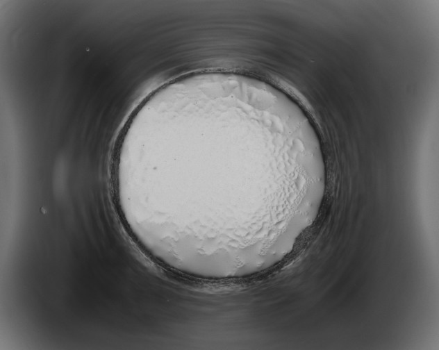 X0000083001091200703020859