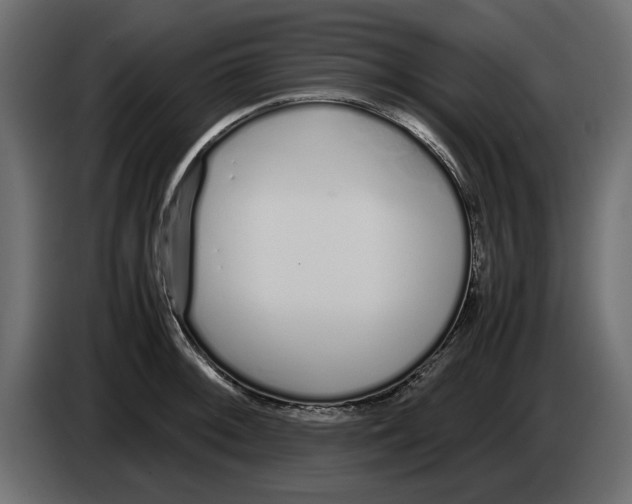 X0000083001092200703020859