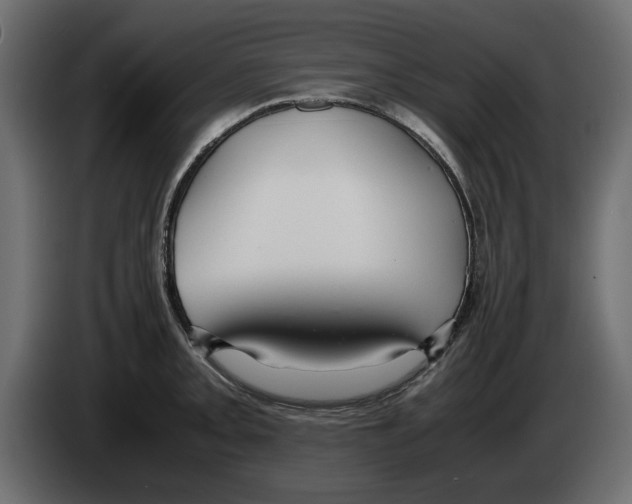 X0000083001093200703020859