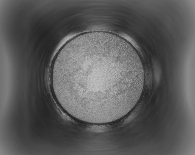 X0000083001094200703020859