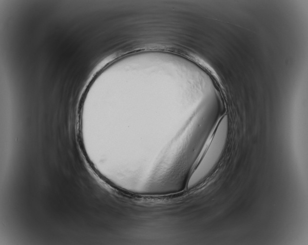 X0000083001095200703020859