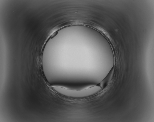 X0000083001097200703020859