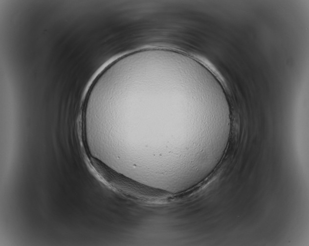 X0000083001100200703020859