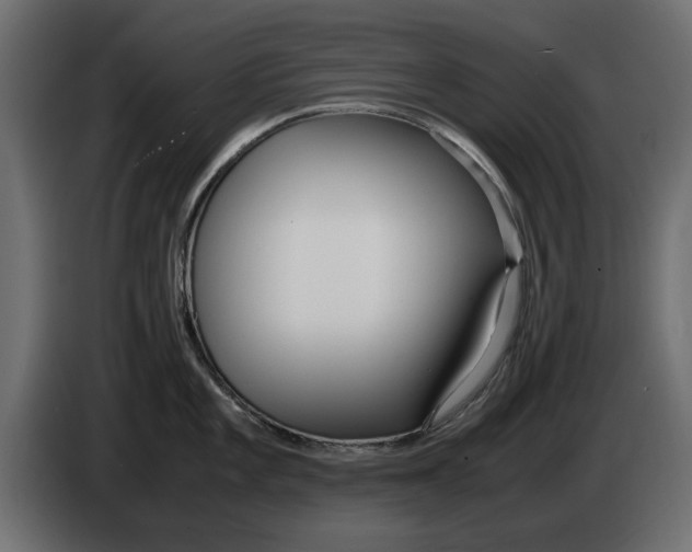 X0000083001101200703020859