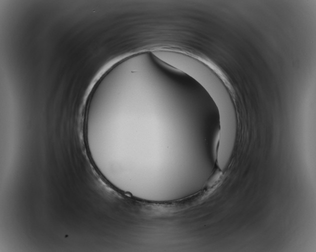 X0000083001102200703020859