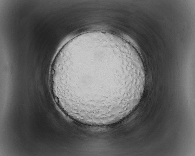 X0000083001103200703020859