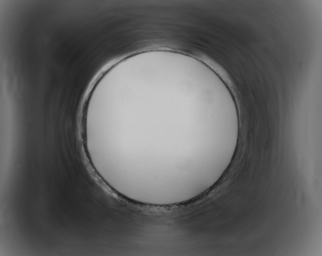 X0000083001104200703020859