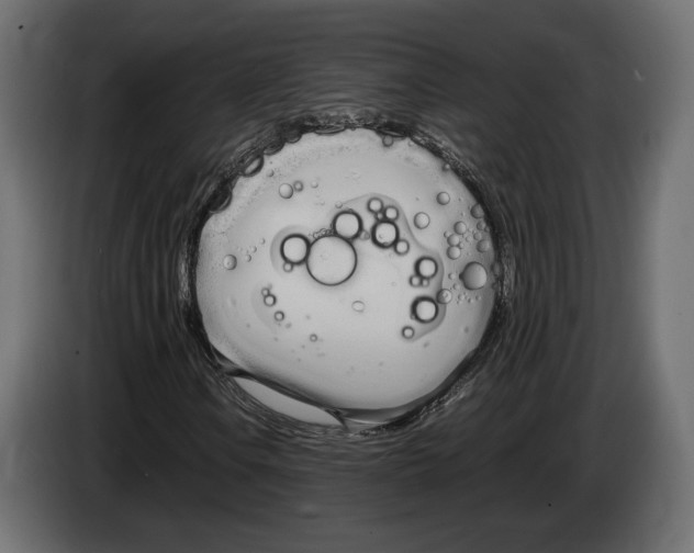 X0000083001106200703020858