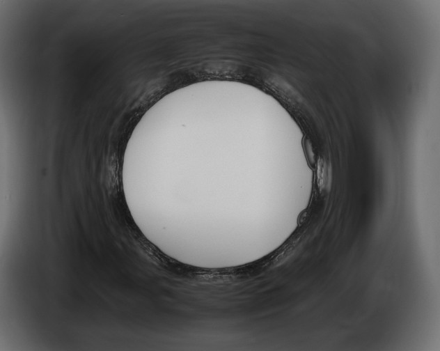 X0000083001107200703020858